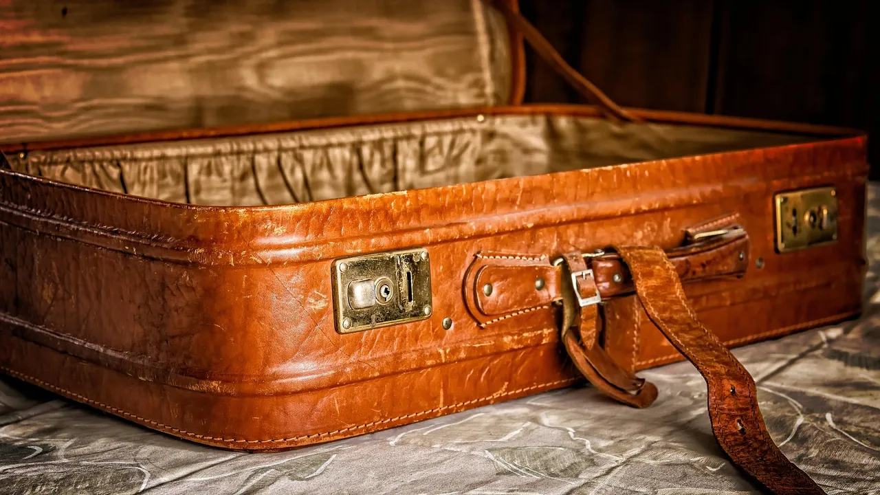 Une valise de cuir fermée par sa sangle